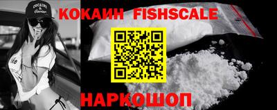 тгк Кингисепп
