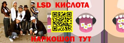 тгк Кингисепп