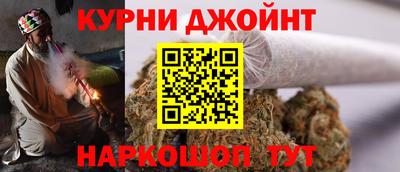тгк Кингисепп