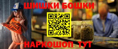 тгк Кингисепп