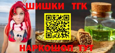 тгк Кингисепп