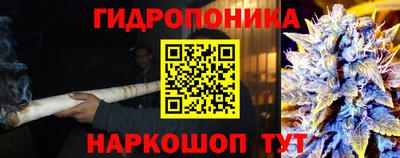 тгк Кингисепп
