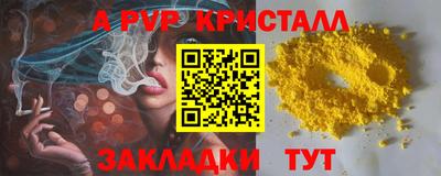 тгк Кингисепп
