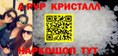тгк Кингисепп